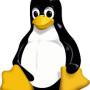 linux_tux.jpg